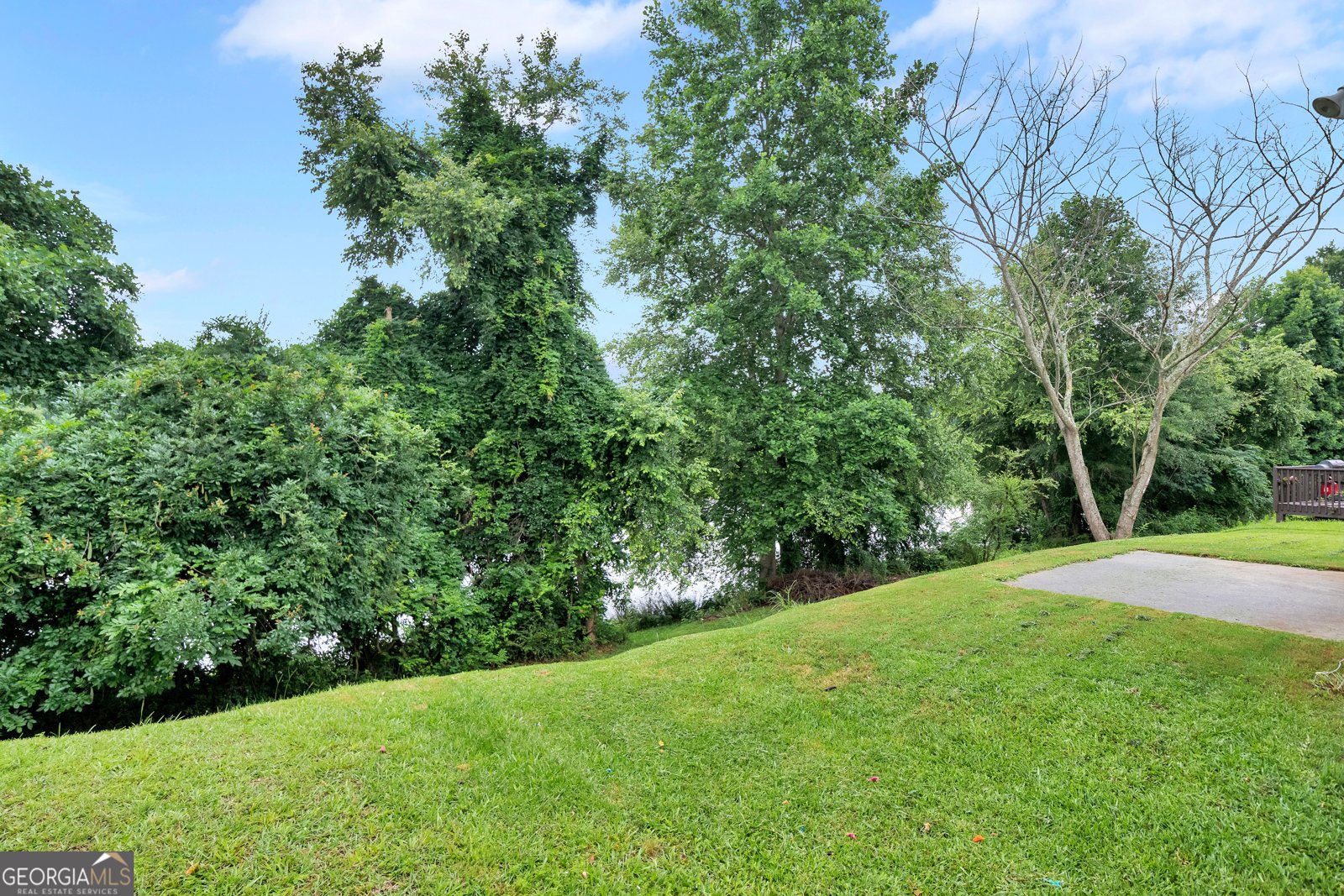 1215 Matt Moore Court Lithia Springs - Photo 26