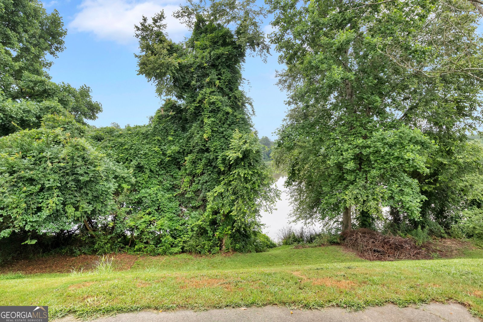 1215 Matt Moore Court Lithia Springs - Photo 27
