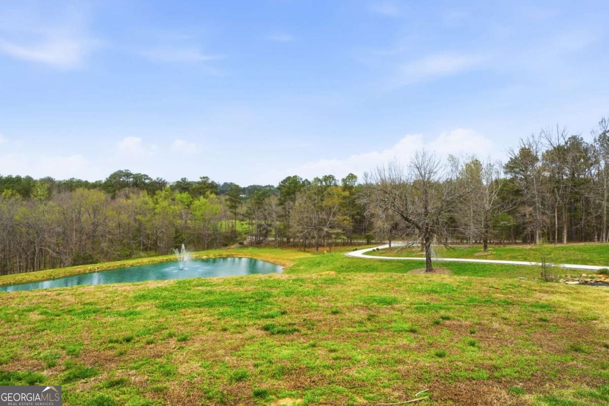 738 Overlook Trail Acworth - Photo 63