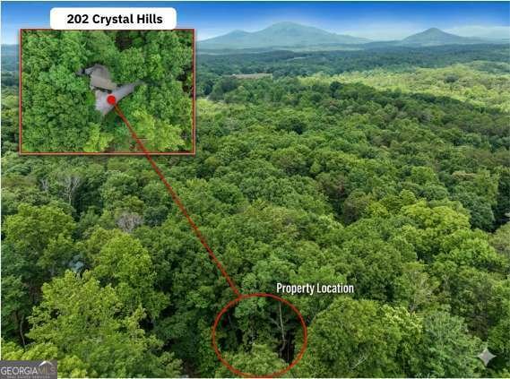 202 Crystal Hills Rd Clarkesville - Photo 38
