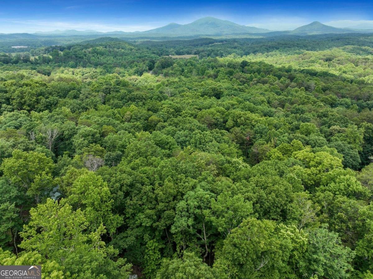 202 Crystal Hills Rd Clarkesville - Photo 39