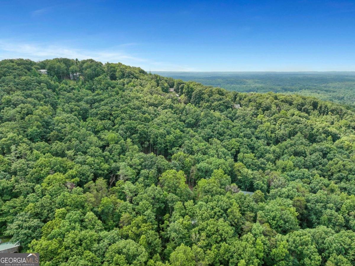 202 Crystal Hills Rd Clarkesville - Photo 40