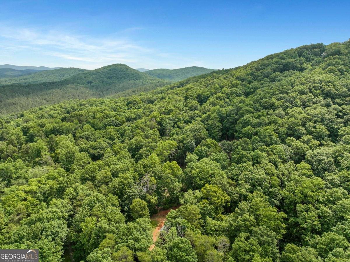 202 Crystal Hills Rd Clarkesville - Photo 41