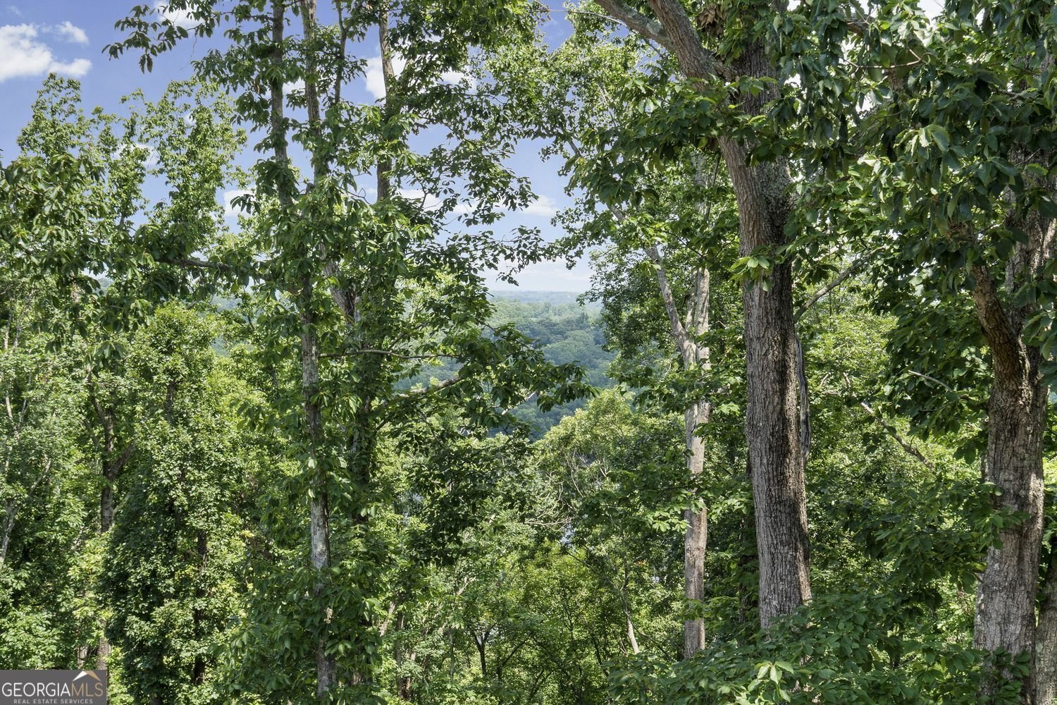 7405 Crestline Drive Dawsonville - Photo 39