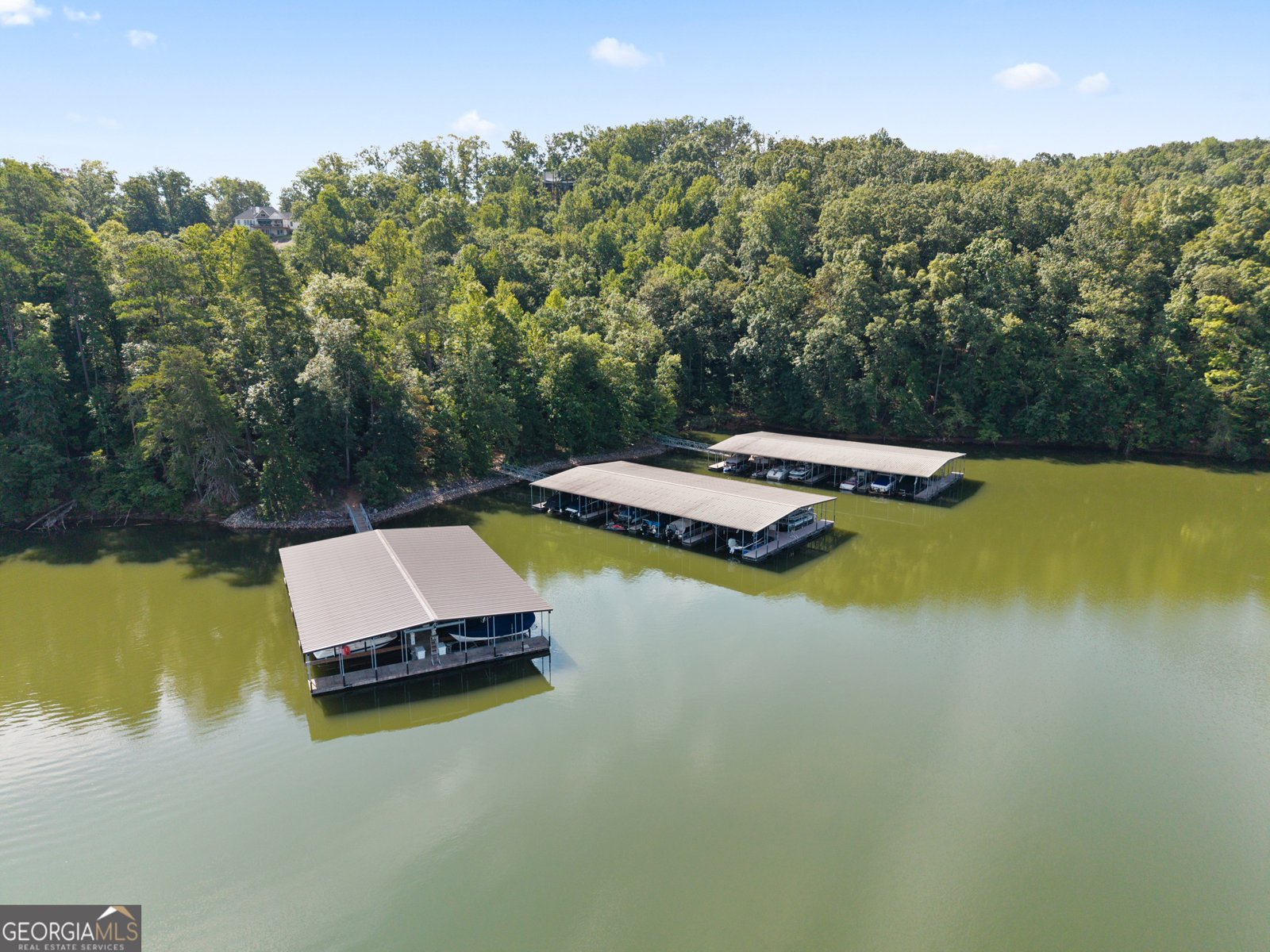 7405 Crestline Drive Dawsonville - Photo 47