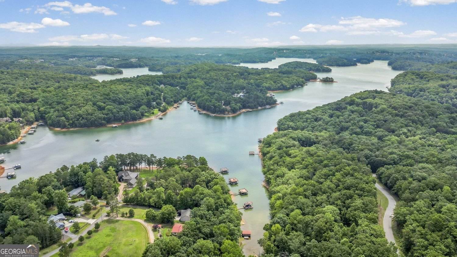 7405 Crestline Drive Dawsonville - Photo 55