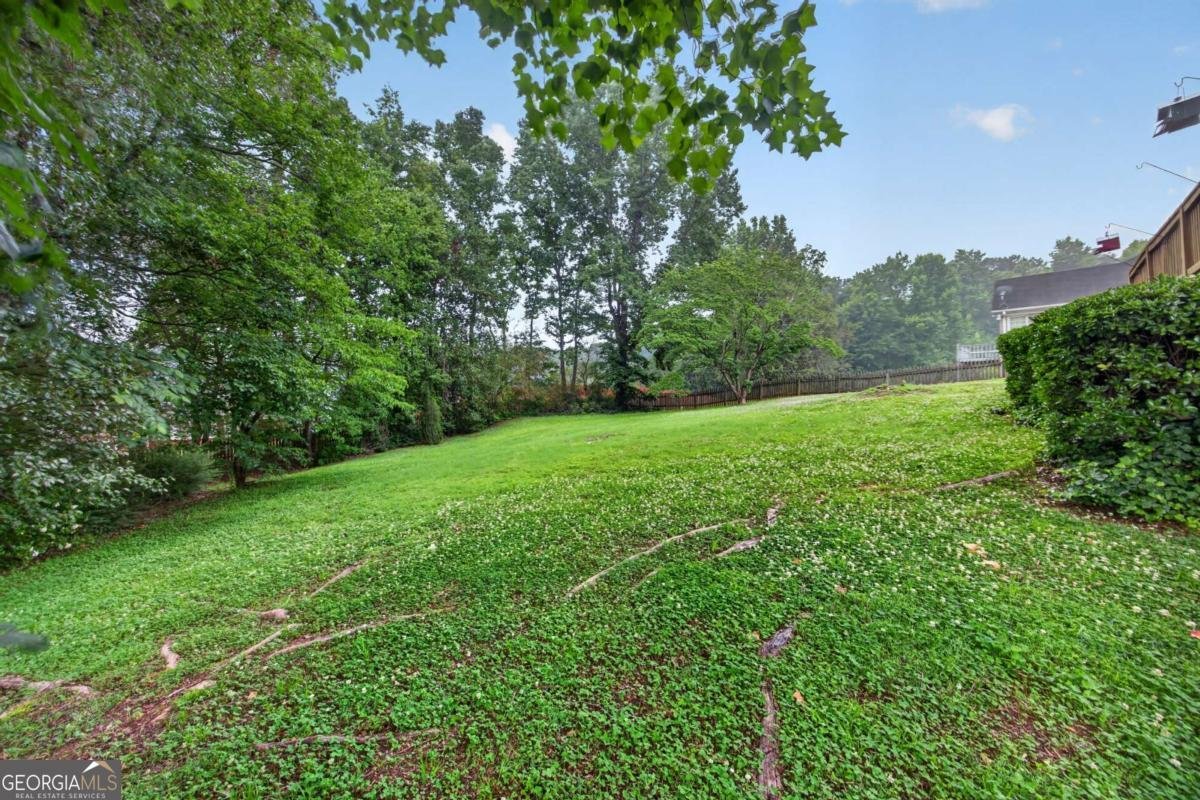 2405 Aveberry Court Conyers - Photo 37