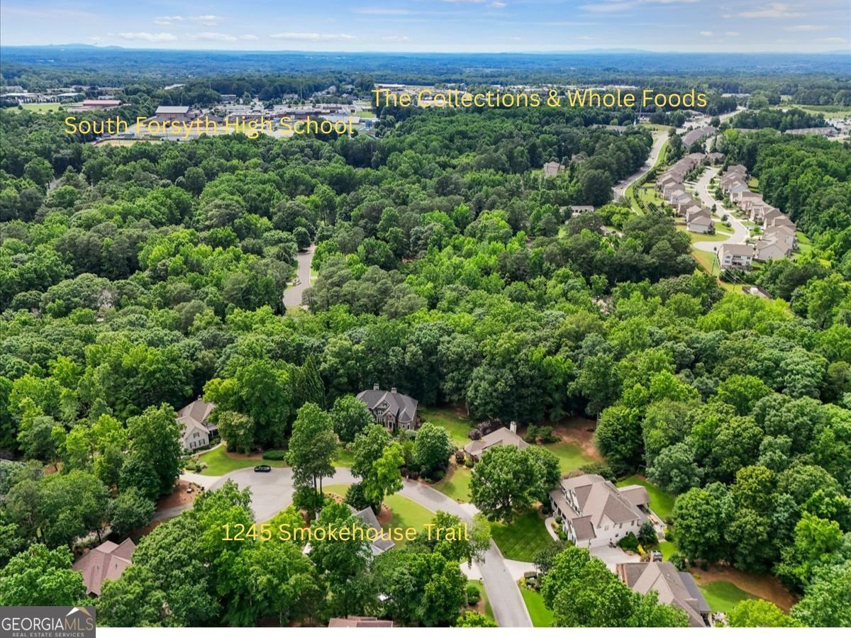1245 Smokehouse Trail Cumming - Photo 59