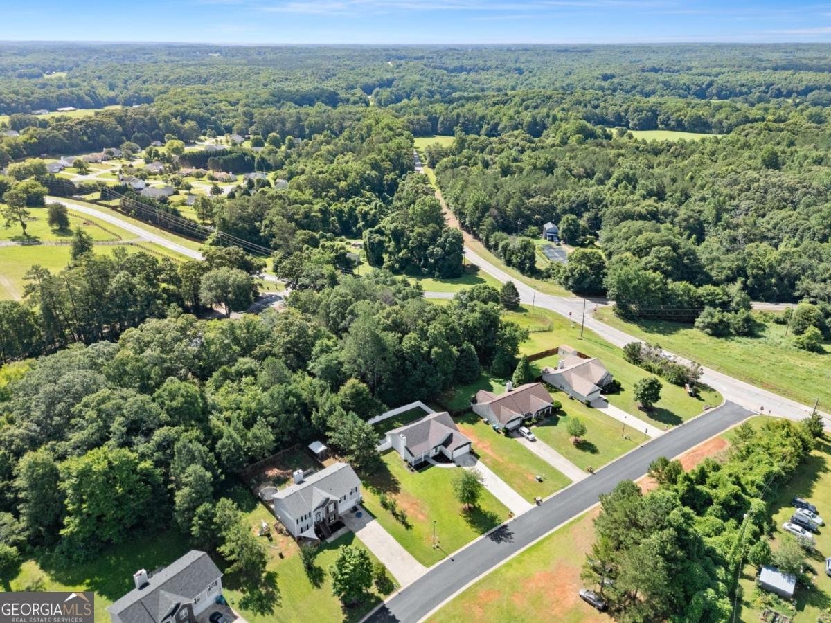 1405 Faith Drive Winder - Photo 41
