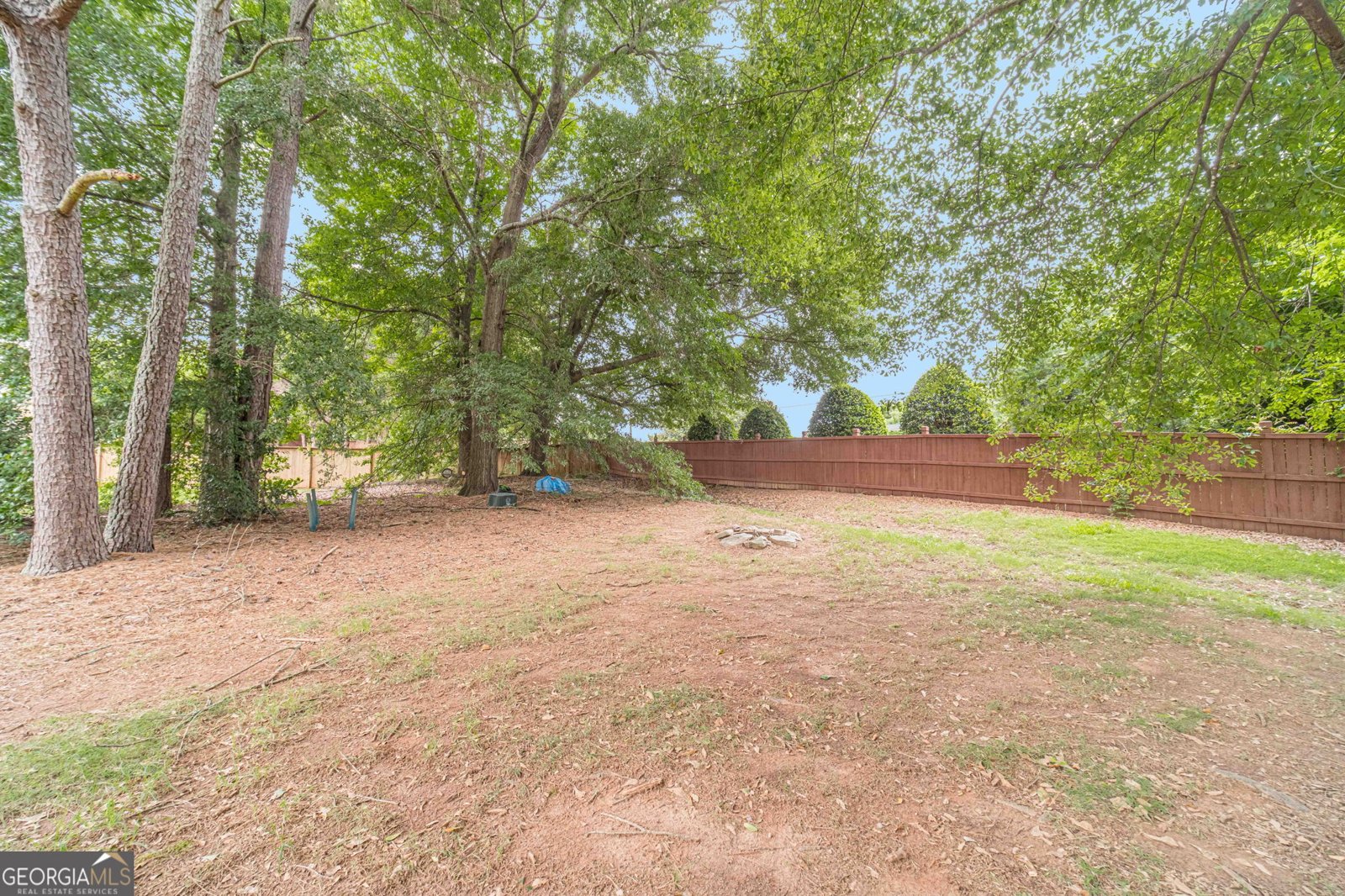 2504 Lois Court Loganville - Photo 51
