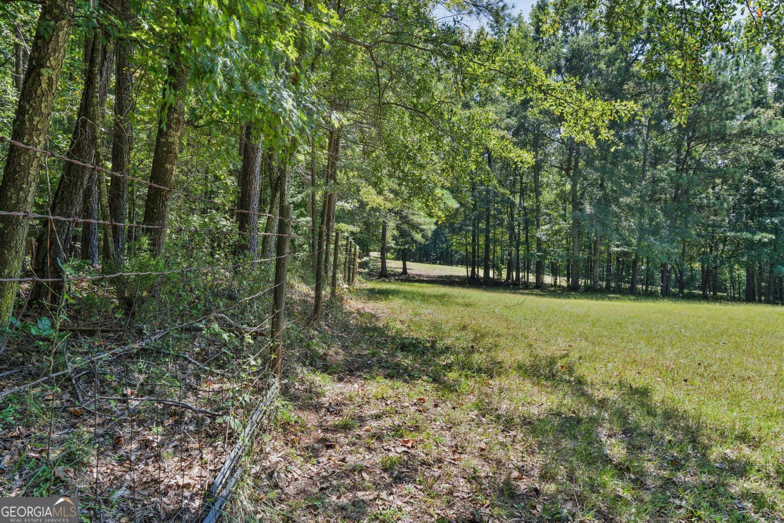 369 Abares Road Forsyth - Photo 48