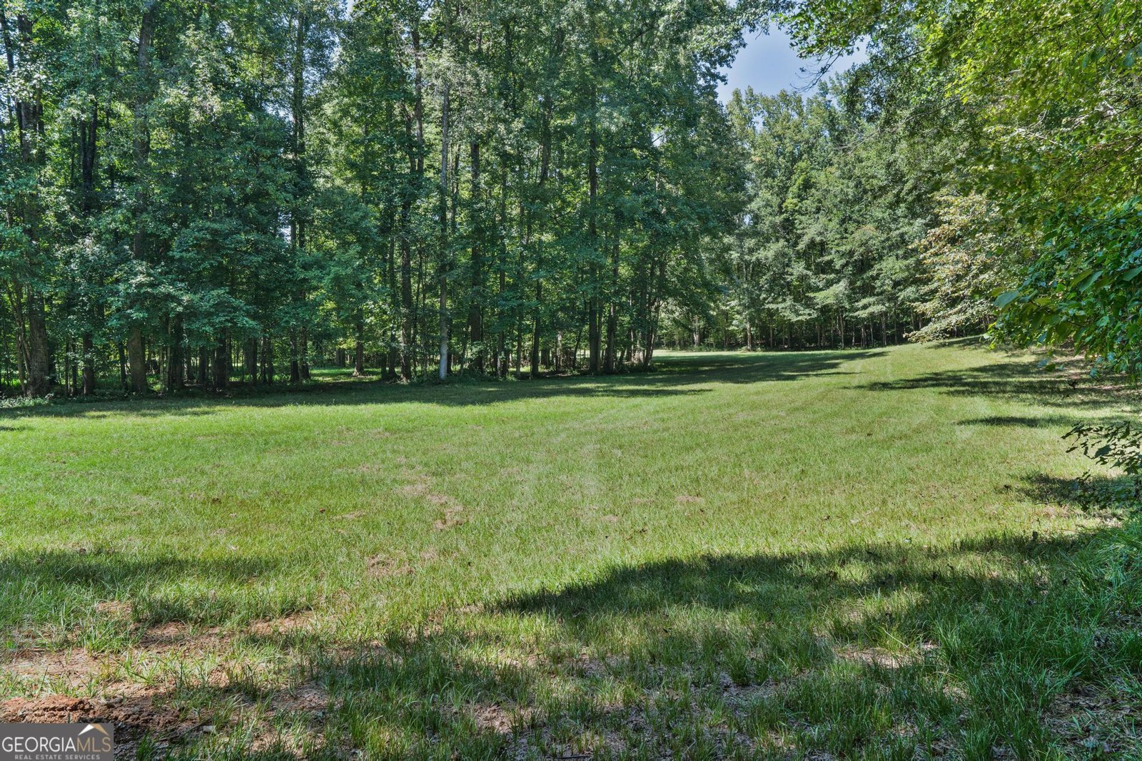 369 Abares Road Forsyth - Photo 49