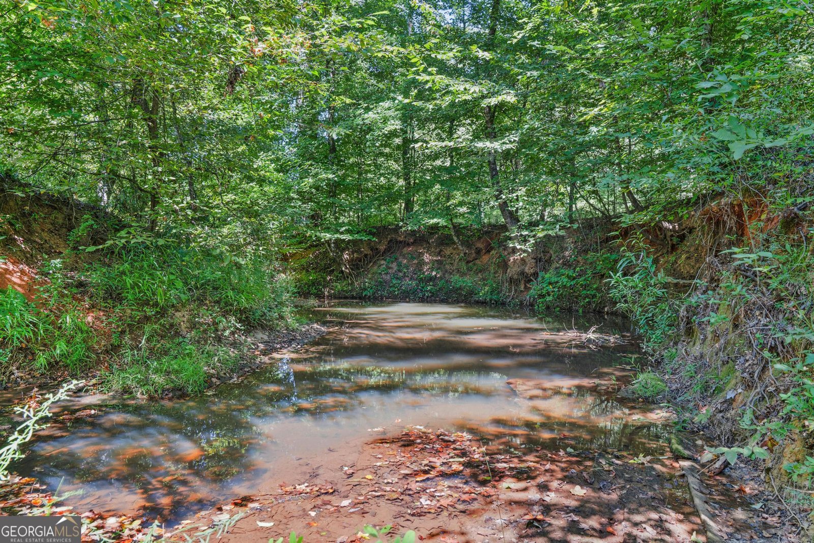 369 Abares Road Forsyth - Photo 50