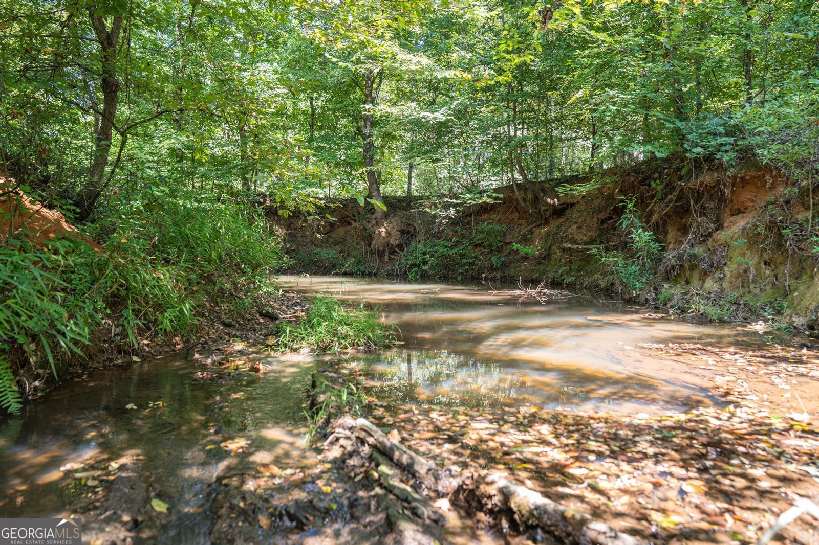 369 Abares Road Forsyth - Photo 52