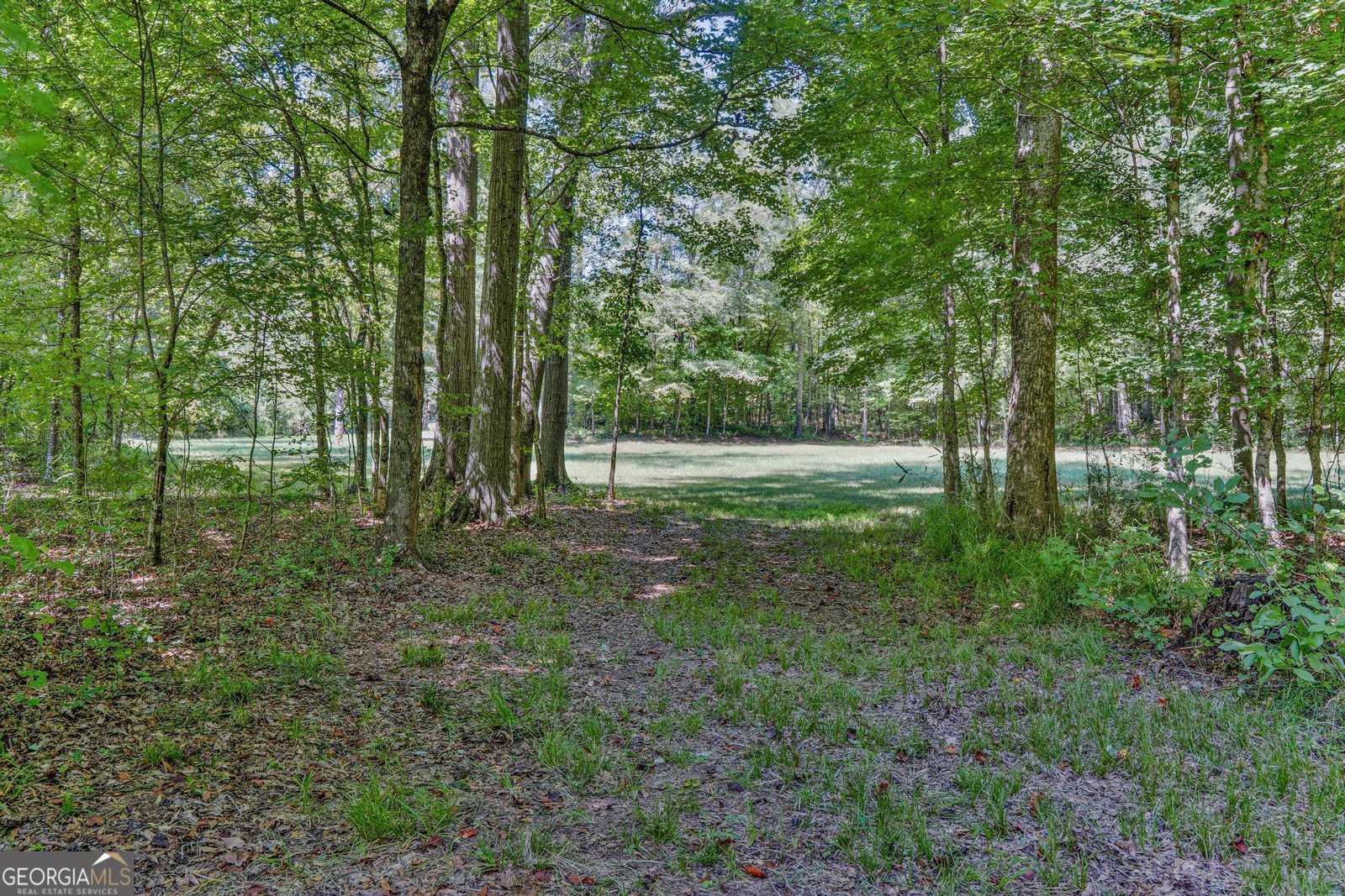 369 Abares Road Forsyth - Photo 53