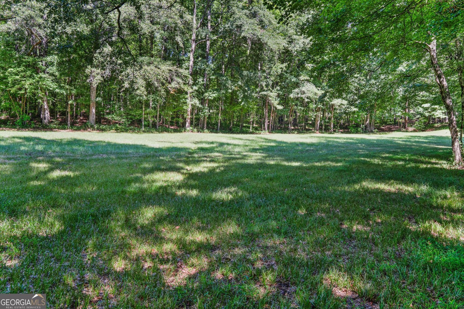 369 Abares Road Forsyth - Photo 54