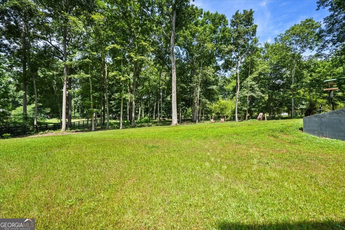 1355 Freehome Road Canton - Photo 70