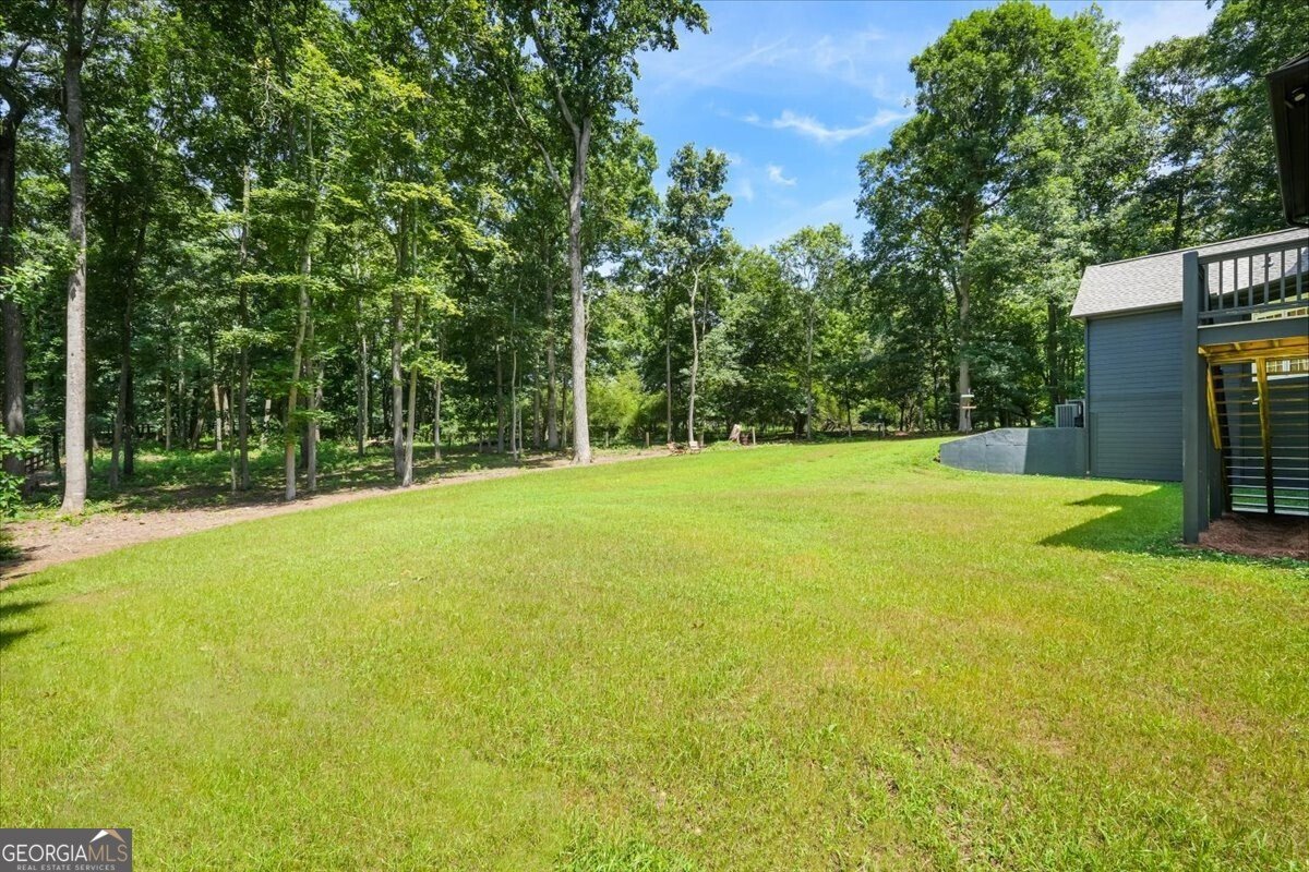 1355 Freehome Road Canton - Photo 71