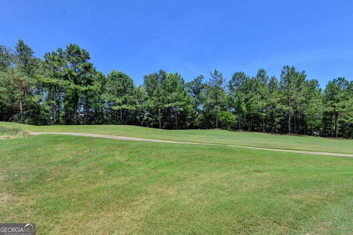 6940 Laurel Oak Drive Suwanee - Photo 58