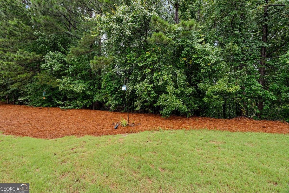 111 Wiley Parc Circle Woodstock - Photo 43
