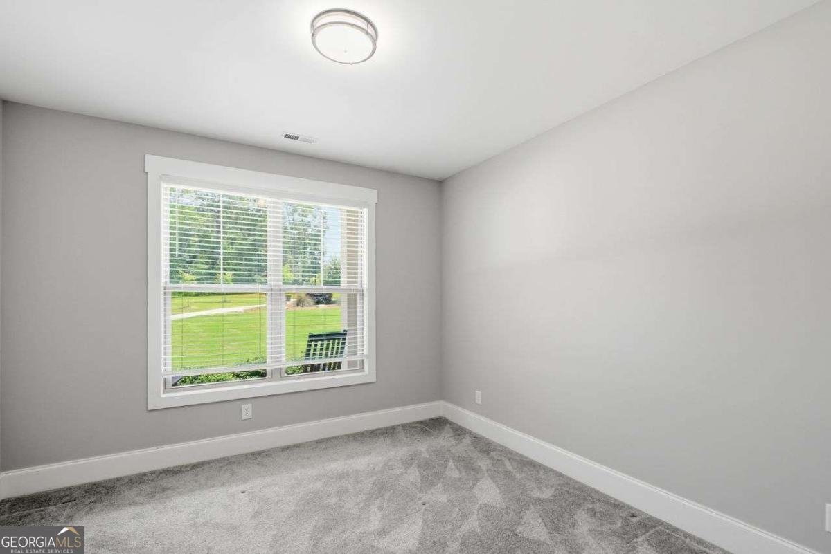 164 Brinley Drive Sharpsburg - Photo 45
