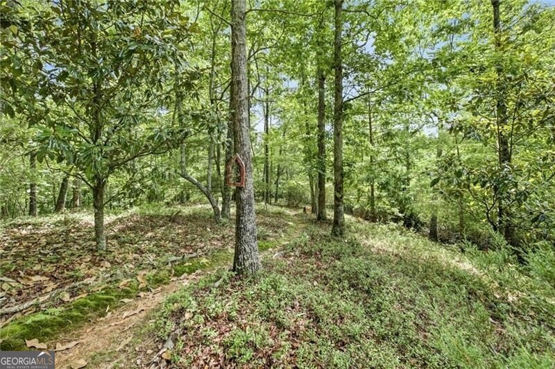 7625 Fish Hook Lane Lula - Photo 57