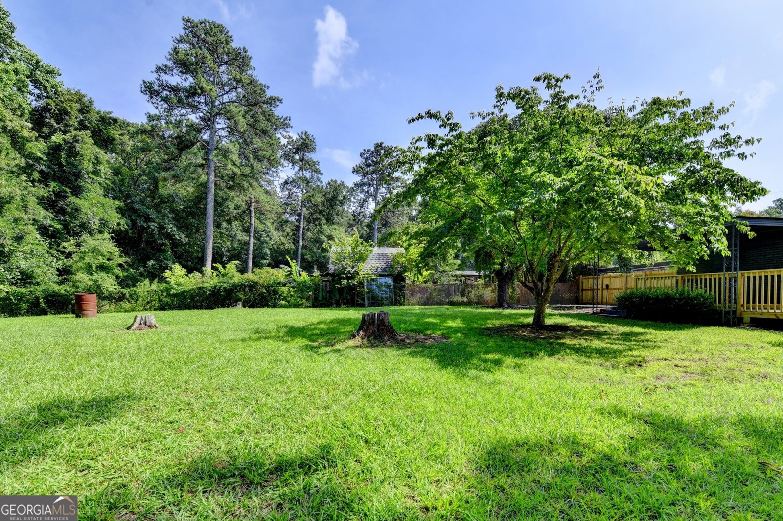 6776 Tralee Drive Lithia Springs - Photo 48