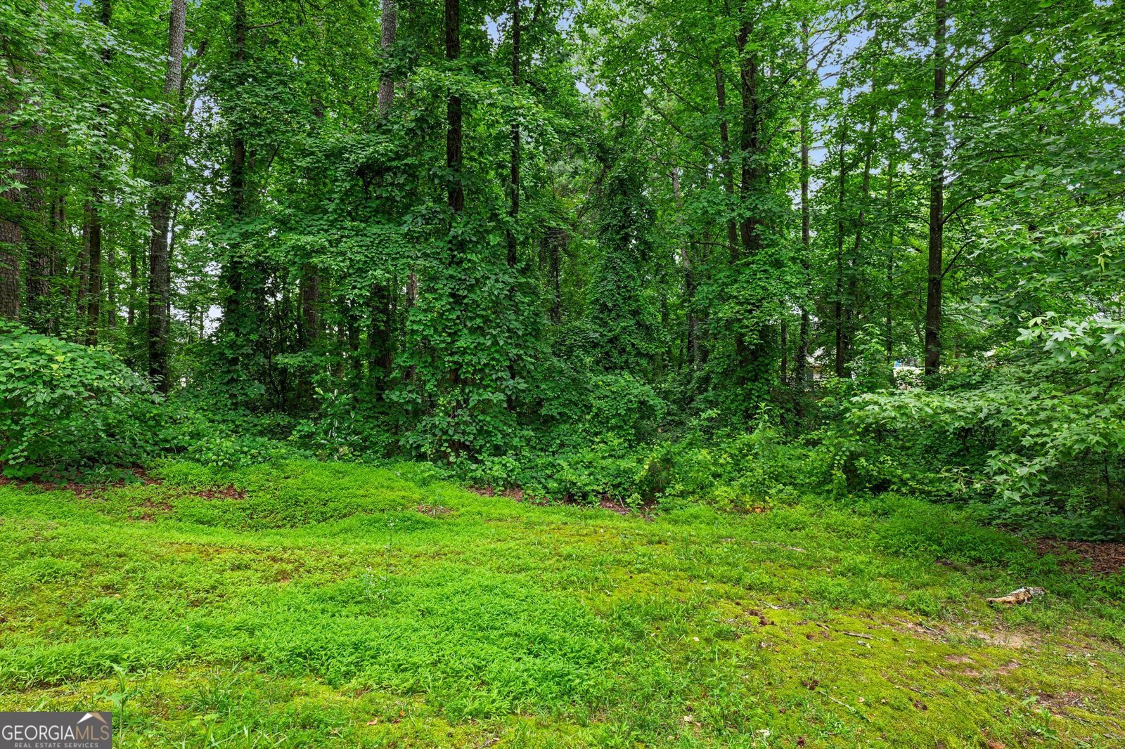 123-125 Curtis Road Lawrenceville - Photo 13