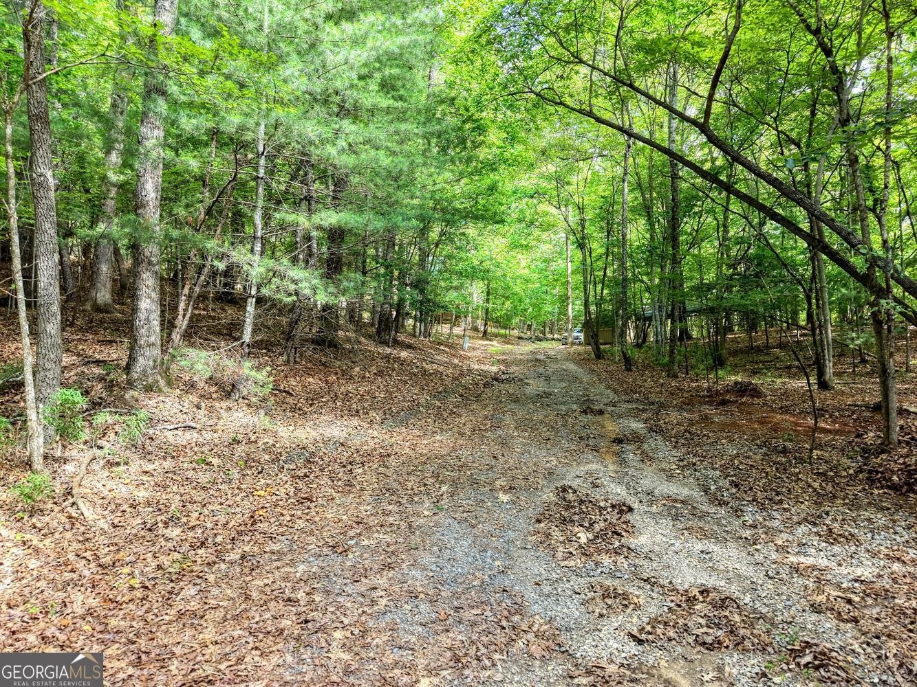 121 Laurel Ridge Morganton - Photo 57