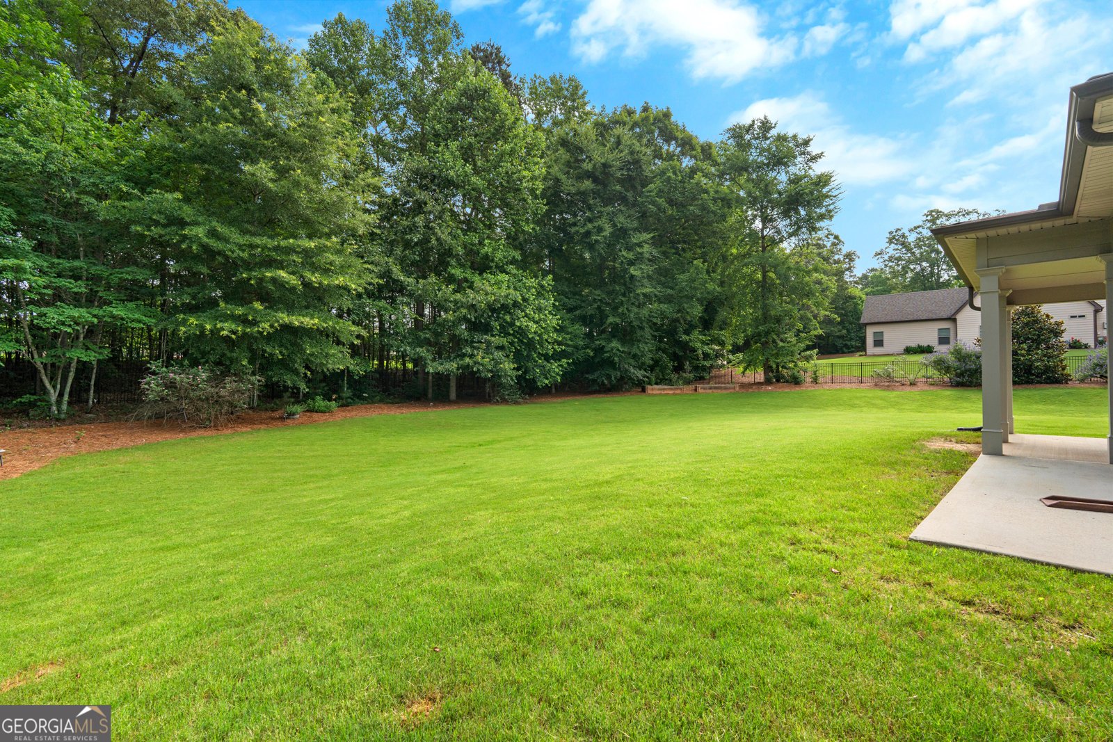 155 Southmill Lane Senoia - Photo 61