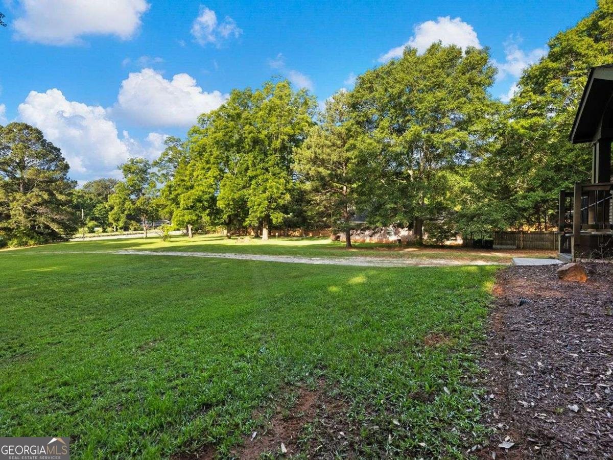 4023 Anvil Block Road Ellenwood - Photo 38