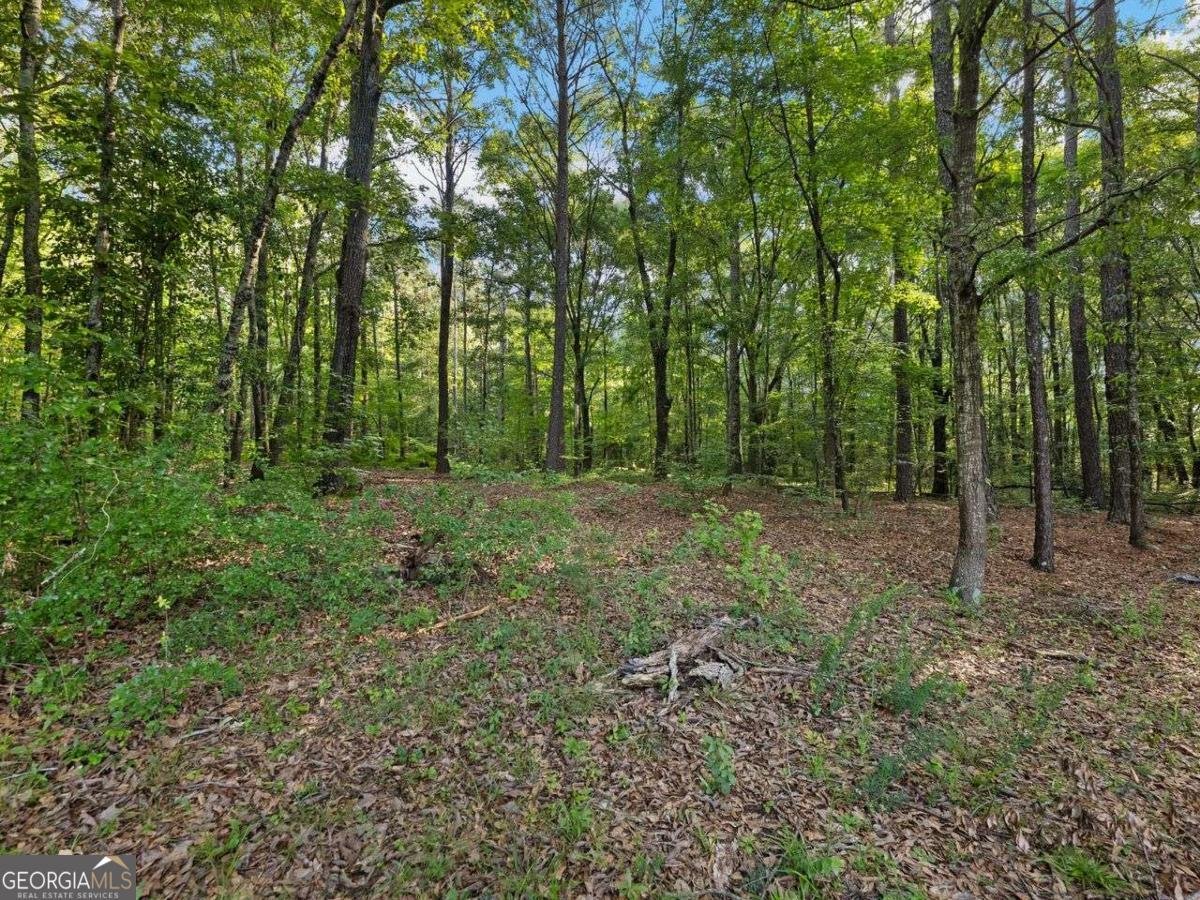 4023 Anvil Block Road Ellenwood - Photo 49
