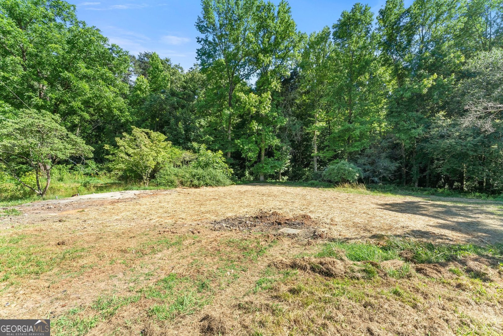 638 Hazel Creek Road Mount Airy - Photo 39