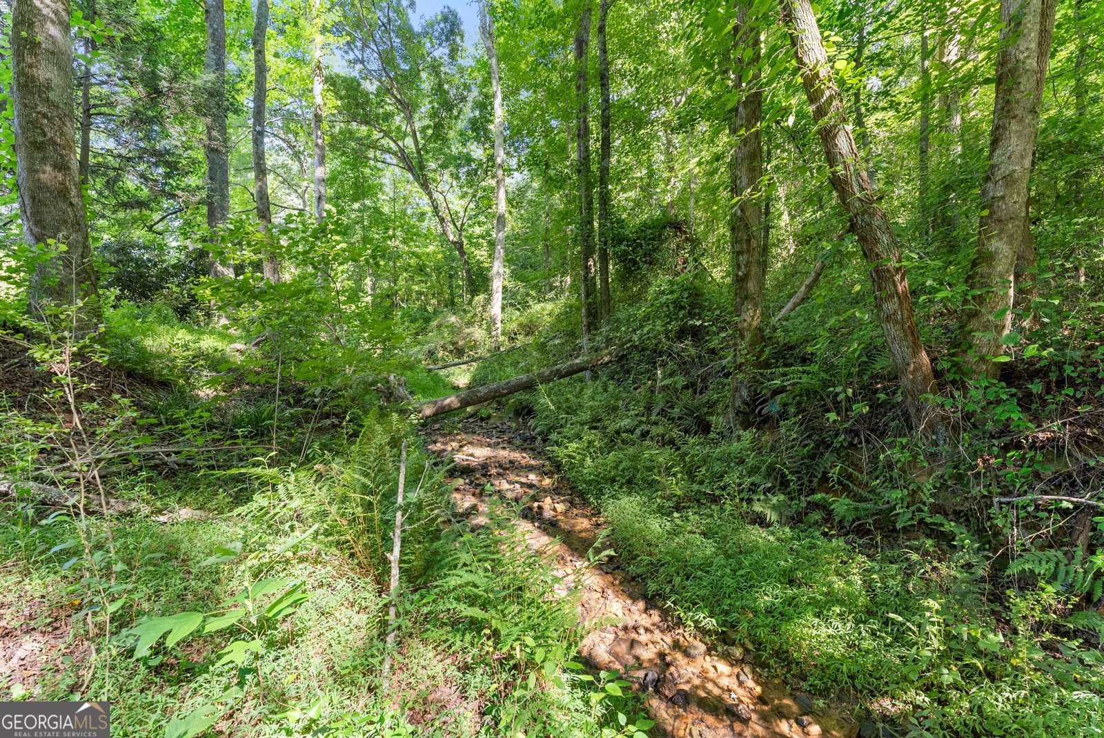 638 Hazel Creek Road Mount Airy - Photo 41