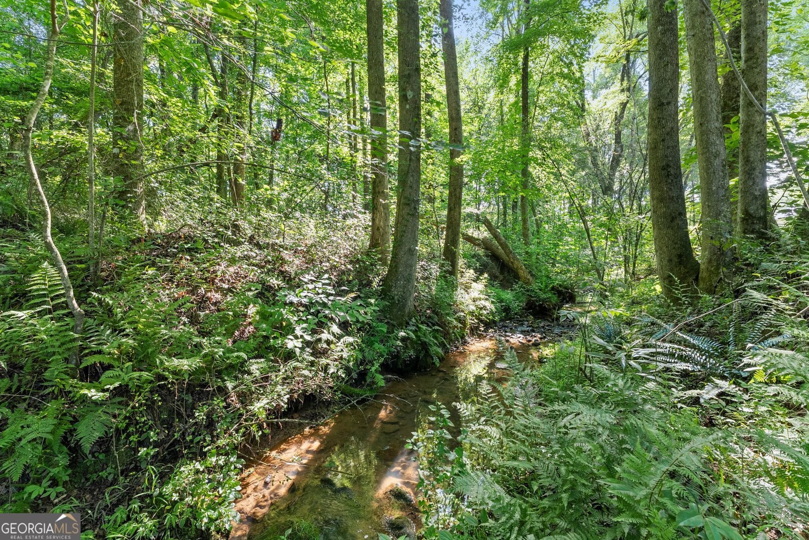 638 Hazel Creek Road Mount Airy - Photo 42