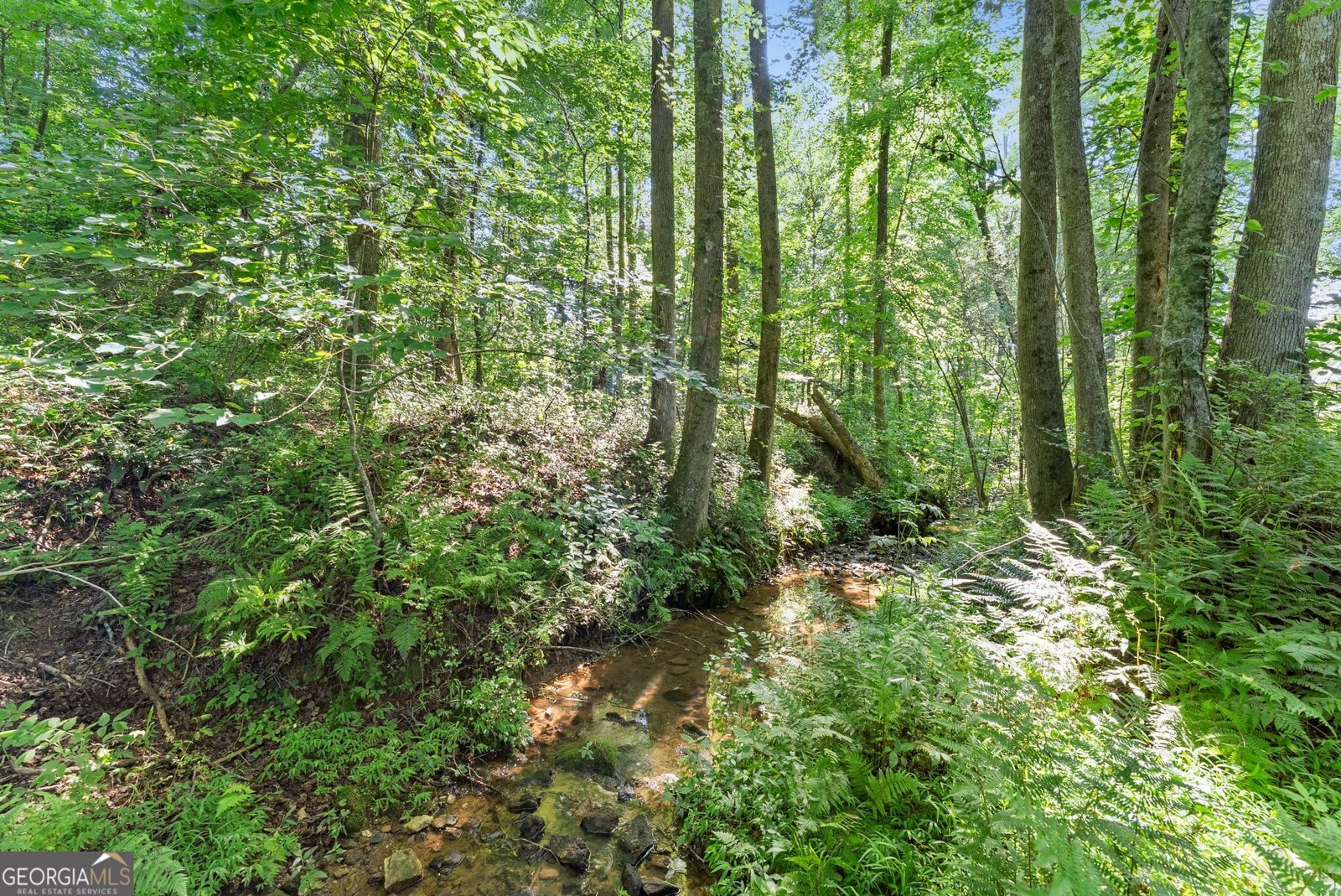 638 Hazel Creek Road Mount Airy - Photo 43