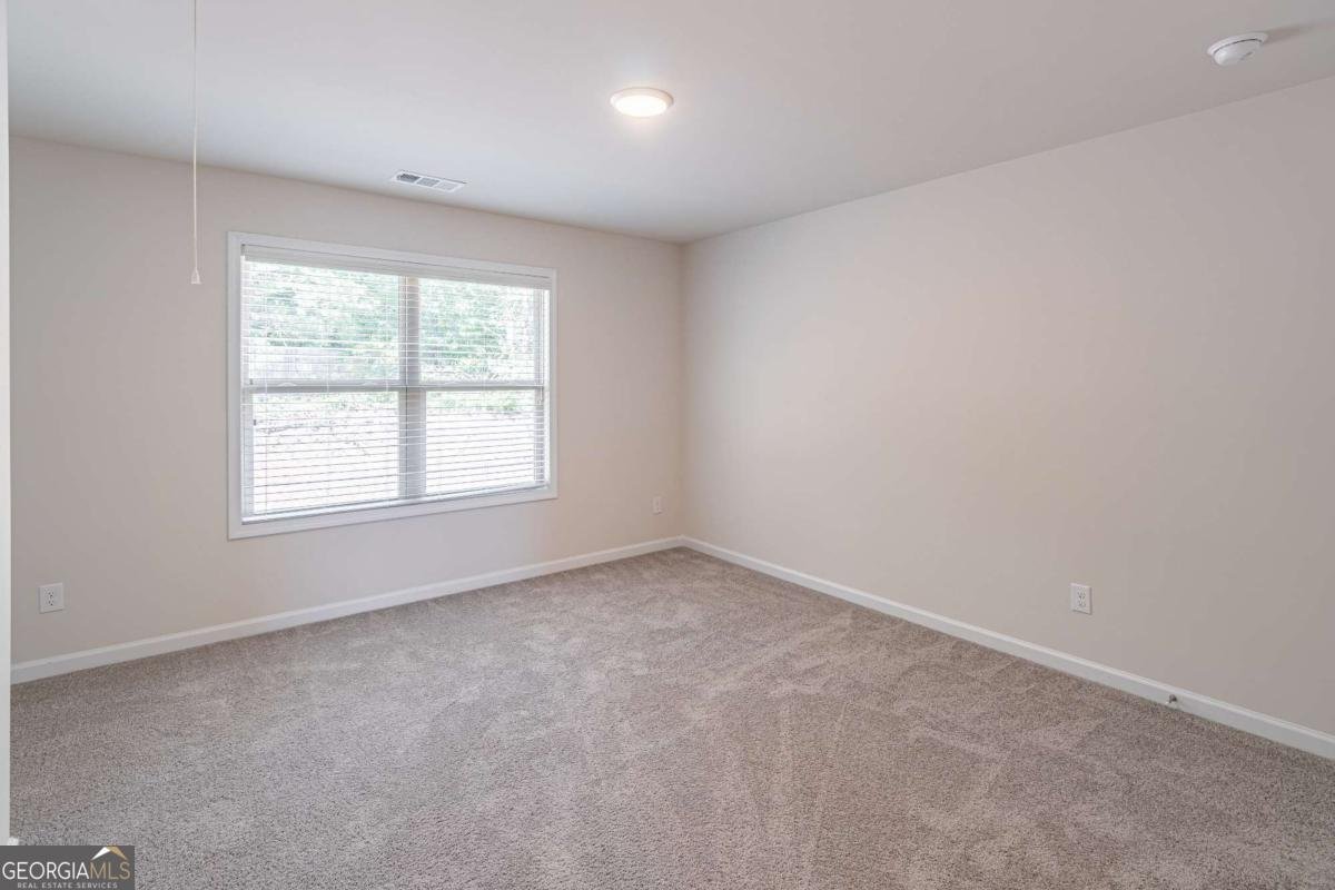 4293 Shandi Cove Hoschton - Photo 21