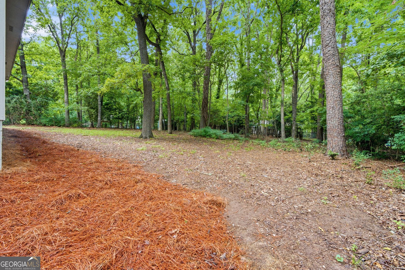 291 Cedar Creek Drive Athens - Photo 35