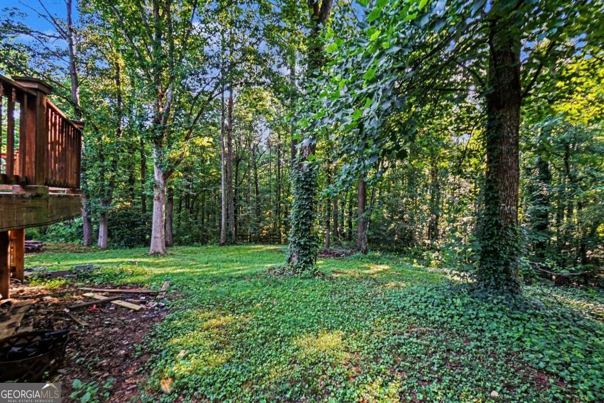 1037 Atherton Lane Woodstock - Photo 25