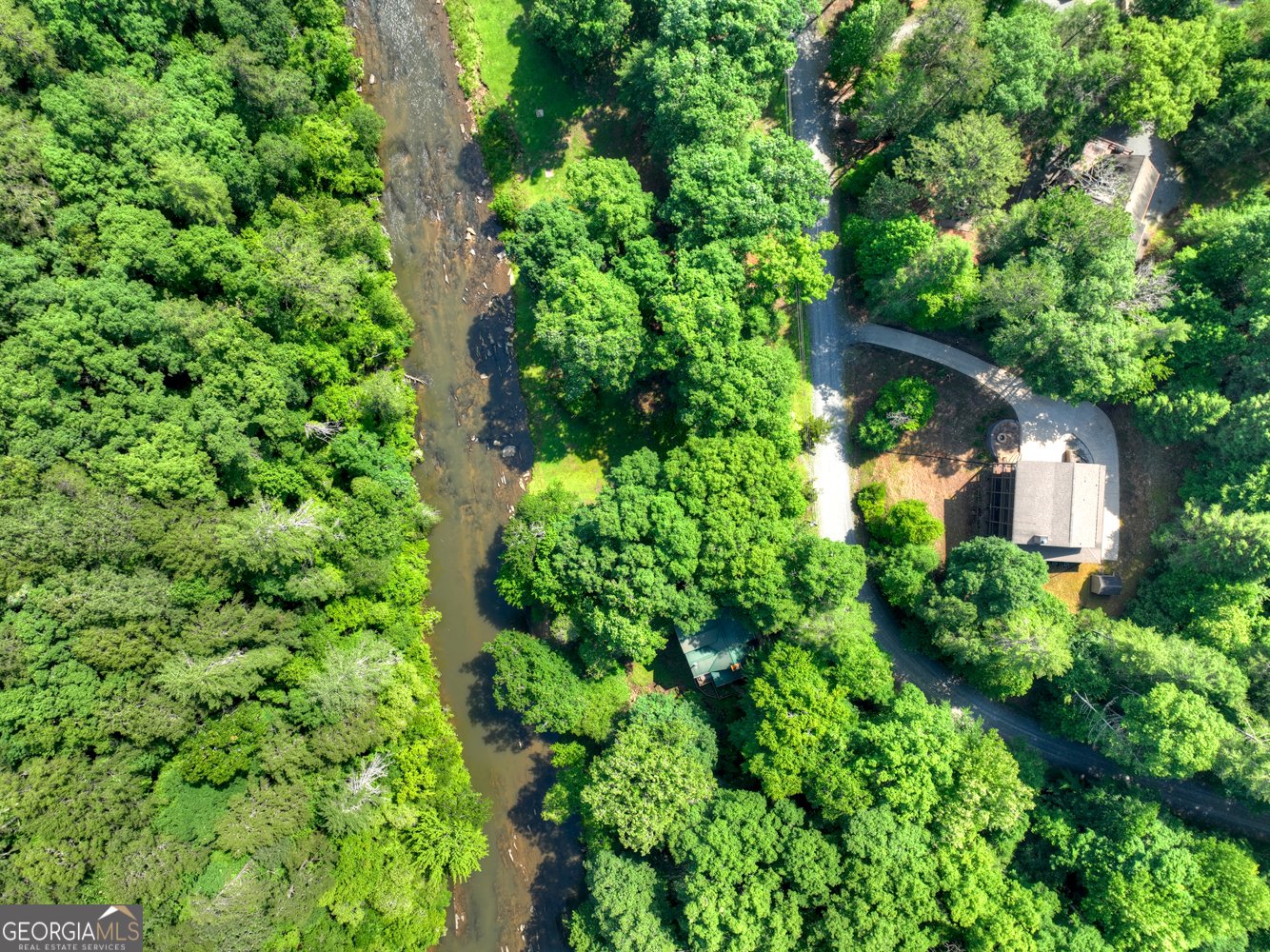 603 Ashley Drive Ellijay - Photo 51