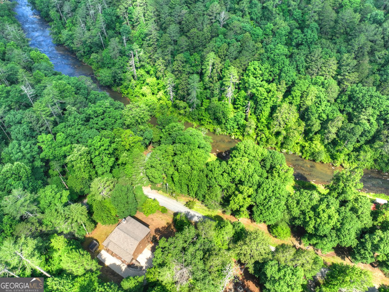 603 Ashley Drive Ellijay - Photo 53