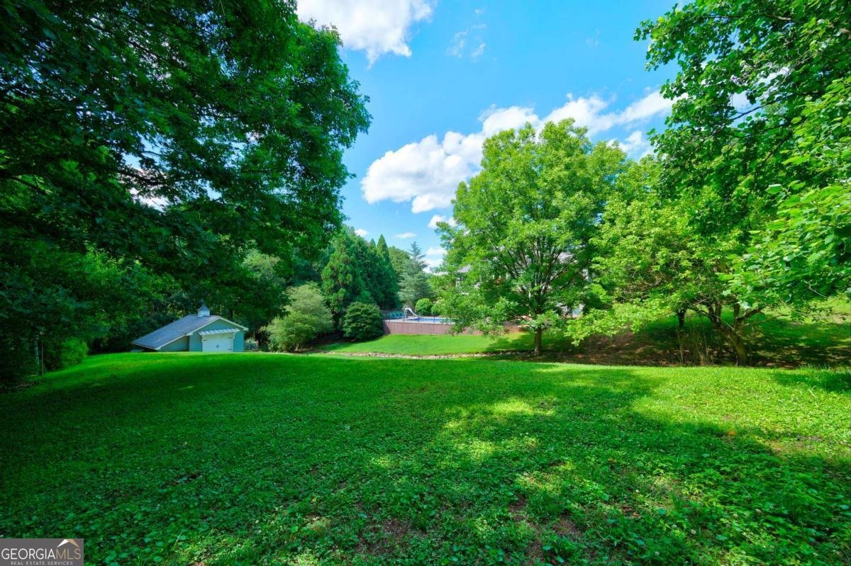 203 Ridge View Court Canton - Photo 64