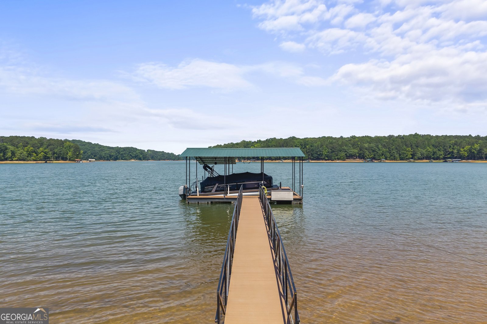 244 Lake View Court Lavonia - Photo 56