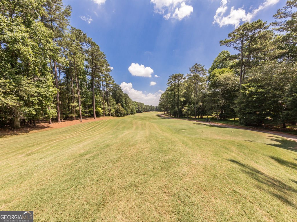 4204 Osprey Pointe Woodstock - Photo 57