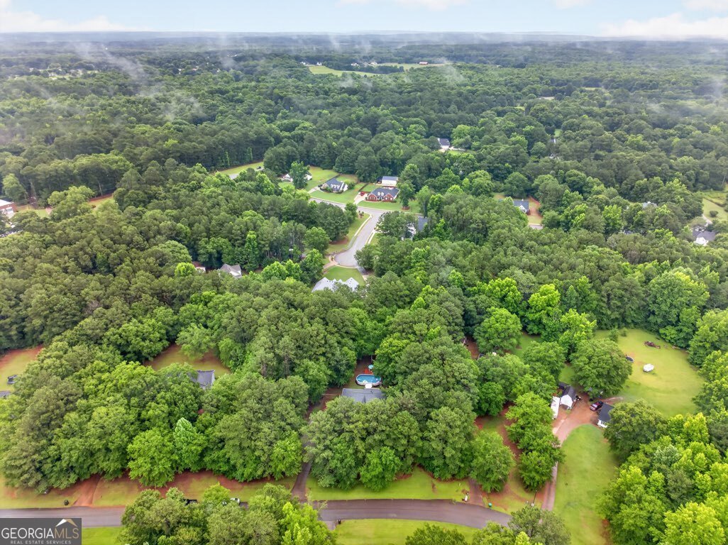 130 Creek Drive Locust Grove - Photo 17