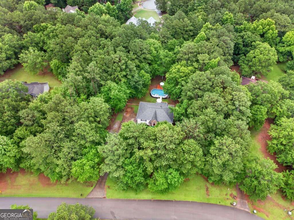 130 Creek Drive Locust Grove - Photo 35