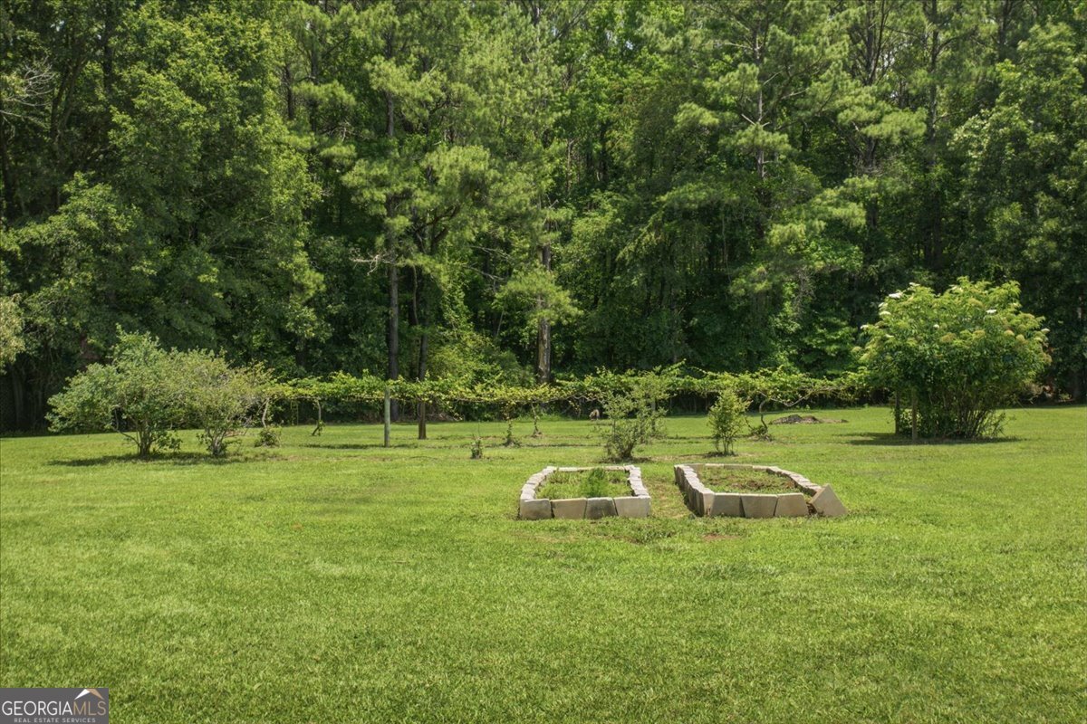 330 Sandy Lake Circle Fayetteville - Photo 52