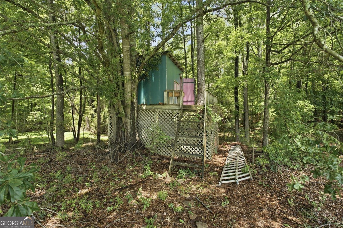 330 Sandy Lake Circle Fayetteville - Photo 54