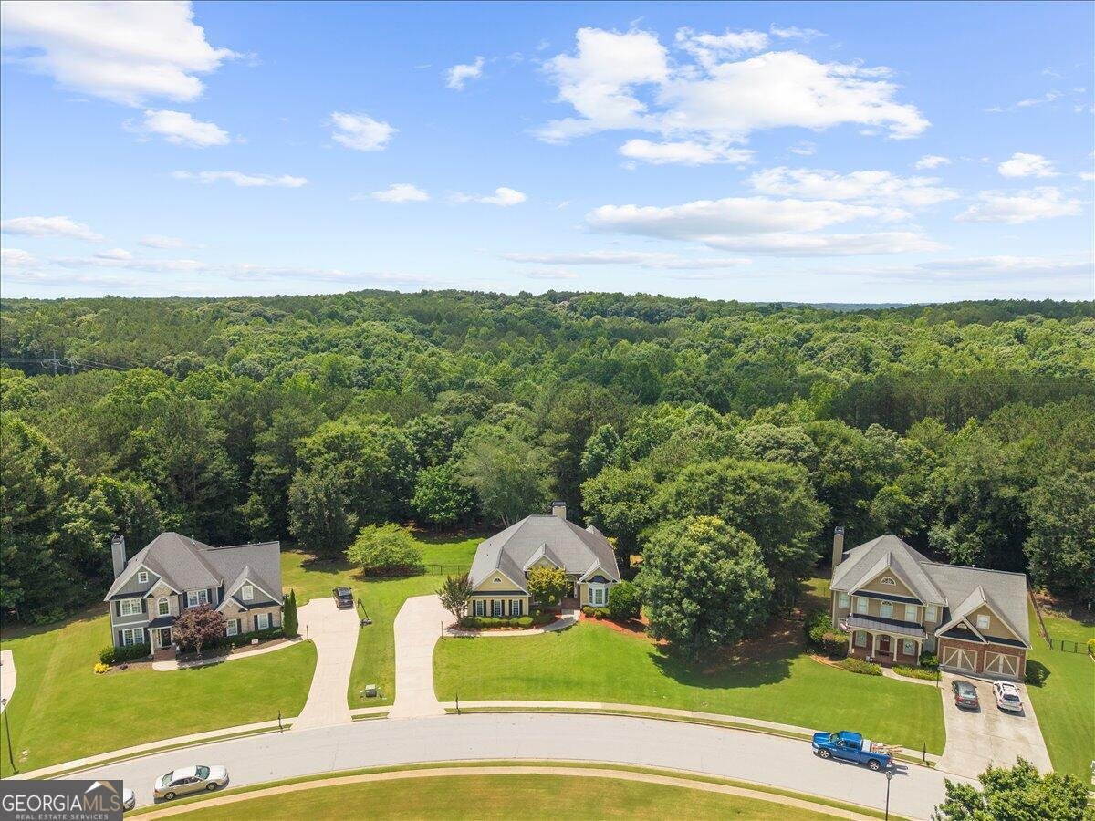 641 Richmond Place Loganville - Photo 70