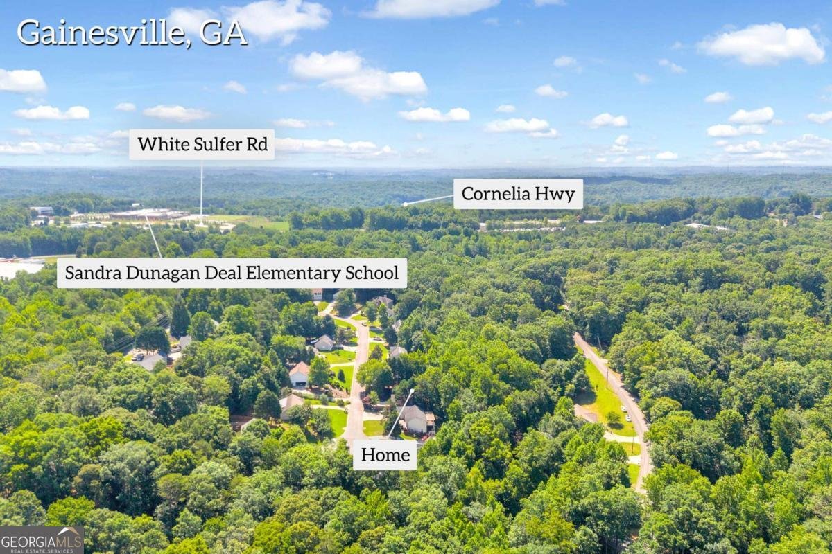 2941 Lake Hollow Road Gainesville - Photo 49